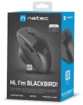Mysz bezprzewodowa NATEC BLACKBIRD 2